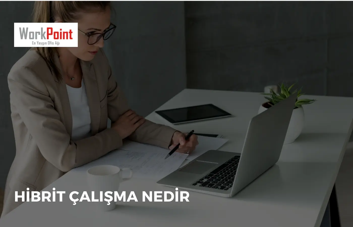 Hibrit Çalışma Nedir