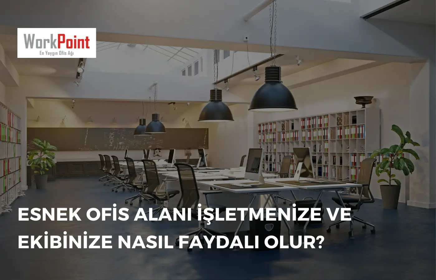 Esnek Ofis Alanı İşletmenize Ve Ekibinize Nasıl Faydalı Olur?